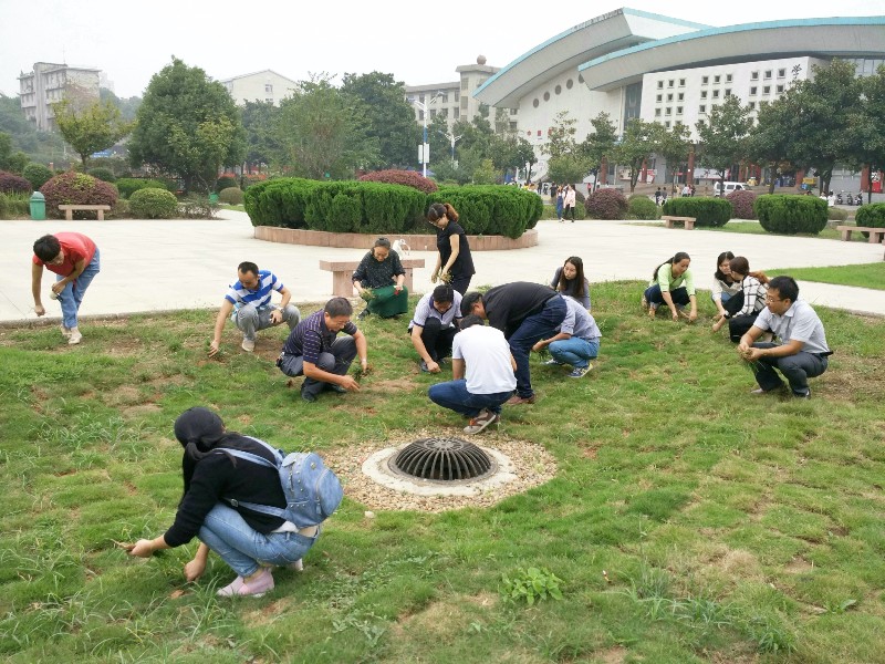 一一_13307.jpg