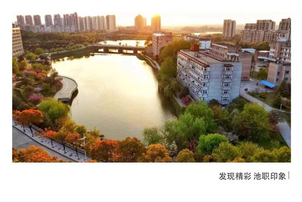一等奖汪文文同学的作品《自由在高处》_45608.jpg
