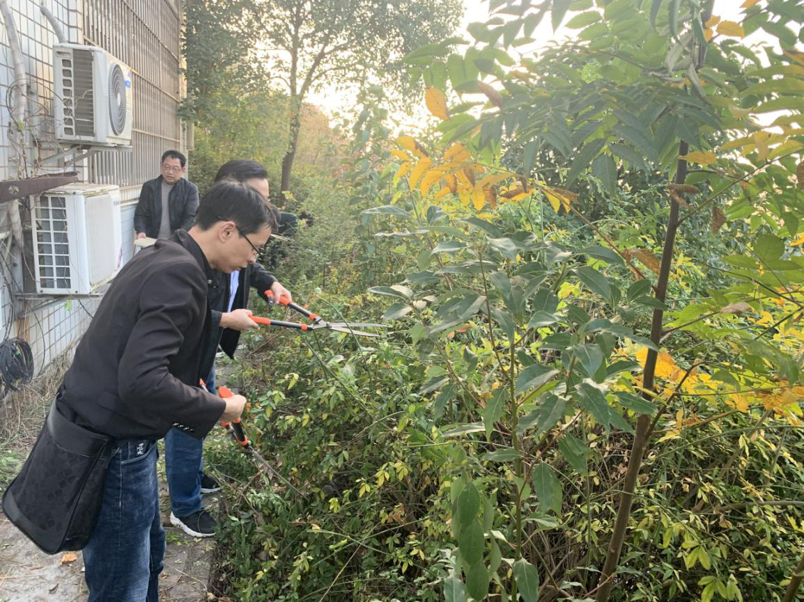 图片1_98378.png 图片1_98378.png