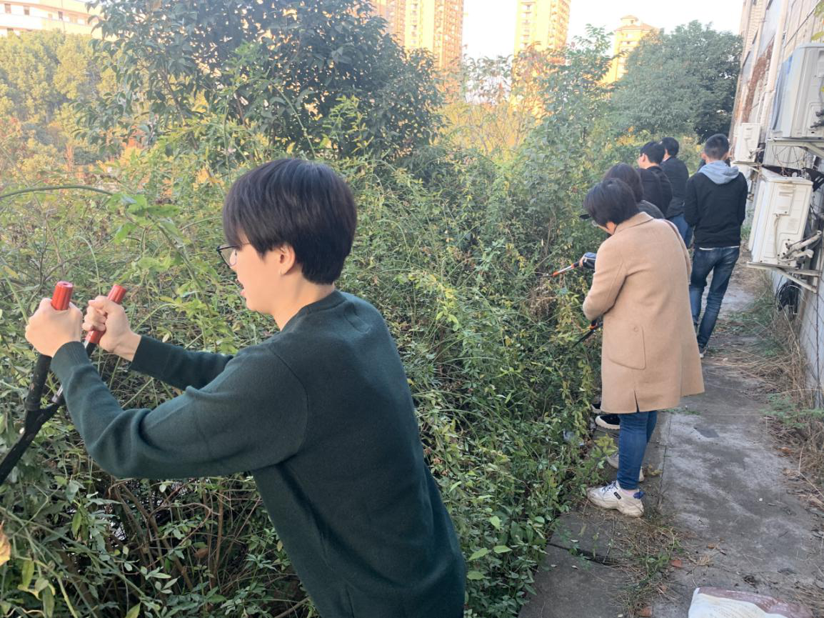 图片2_98076.png 图片2_98076.png