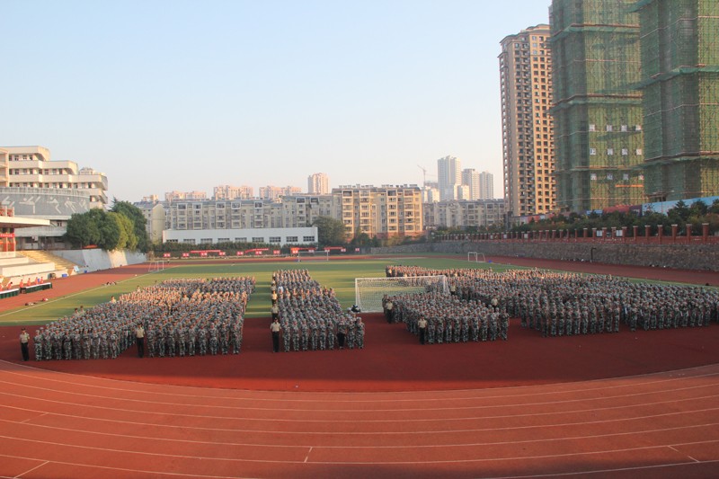 3_37559.jpg 3.jpg