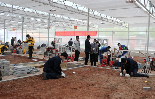 IMG_7868_93386.jpg