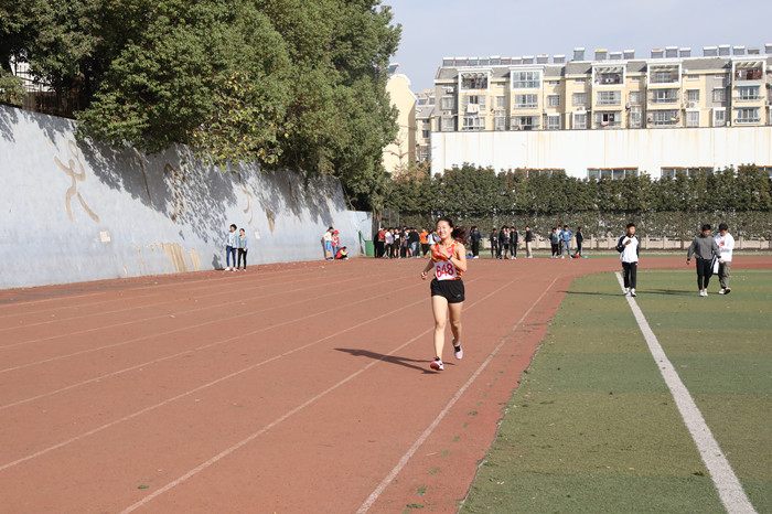 y12_43533.jpg