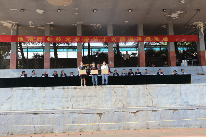 y7_84333.jpg