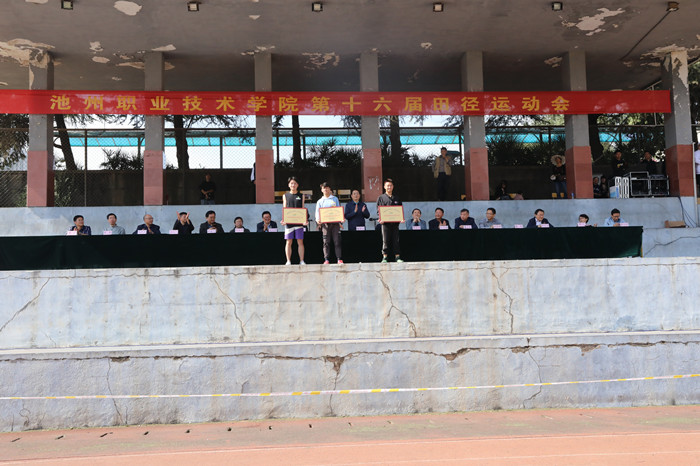 y8_49086.jpg