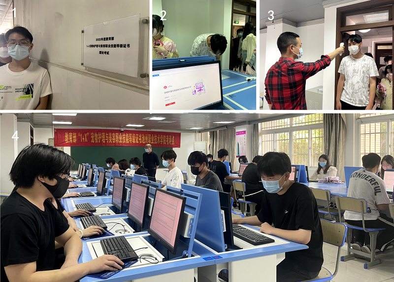 1654160205448136.png 图片1.png