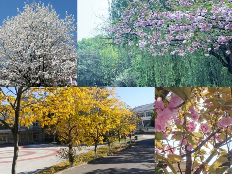 1686558996148261.jpg 图片1.jpg