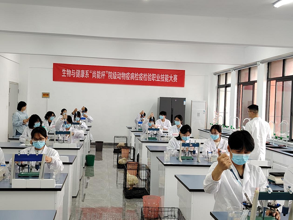 1747452004634145.png 图片1.png