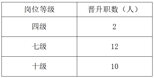 晋升职数.png