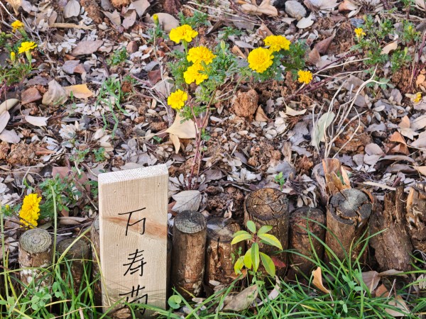 1764928800132137.jpg 微信图片_20251130161221_1632_51.jpg