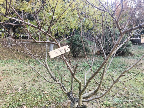 1764928825449932.jpg 微信图片_20251130172729_1656_51.jpg