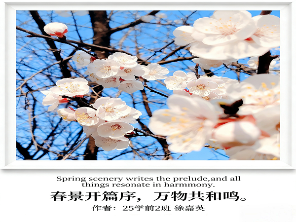 1776650142703861.png 988b4aa8366fb0b2f23183ae9bf3ee37.png